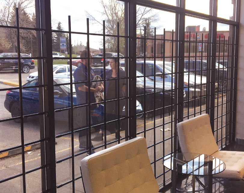Fixed commercial window bar security